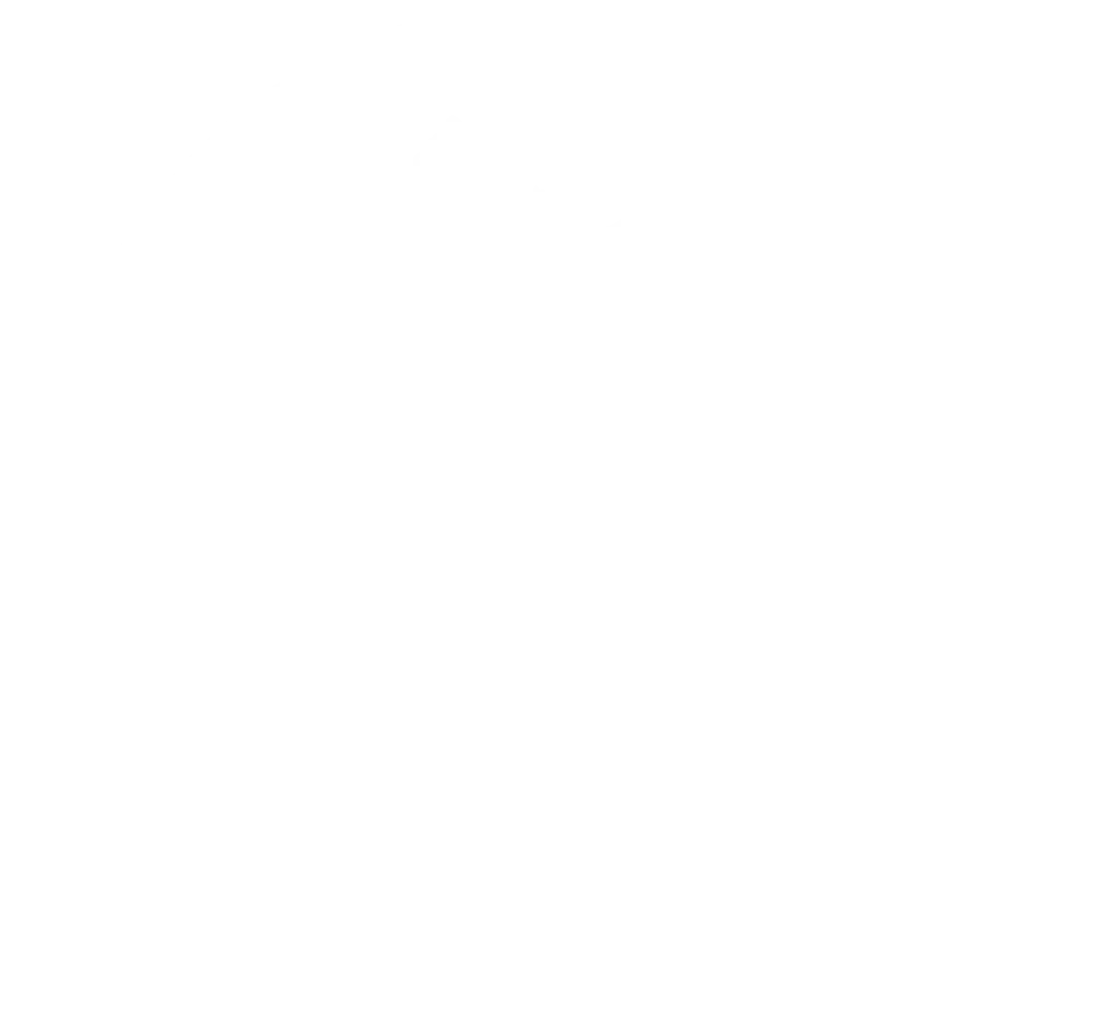 Logo-Kwaliteitsslagerij-Ariesen