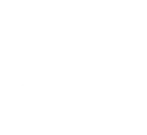 Logo-Kwaliteitsslagerij-Ariesen