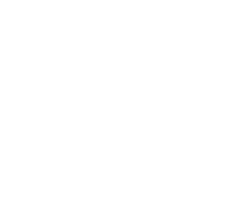 Logo-Kwaliteitsslagerij-Ariesen