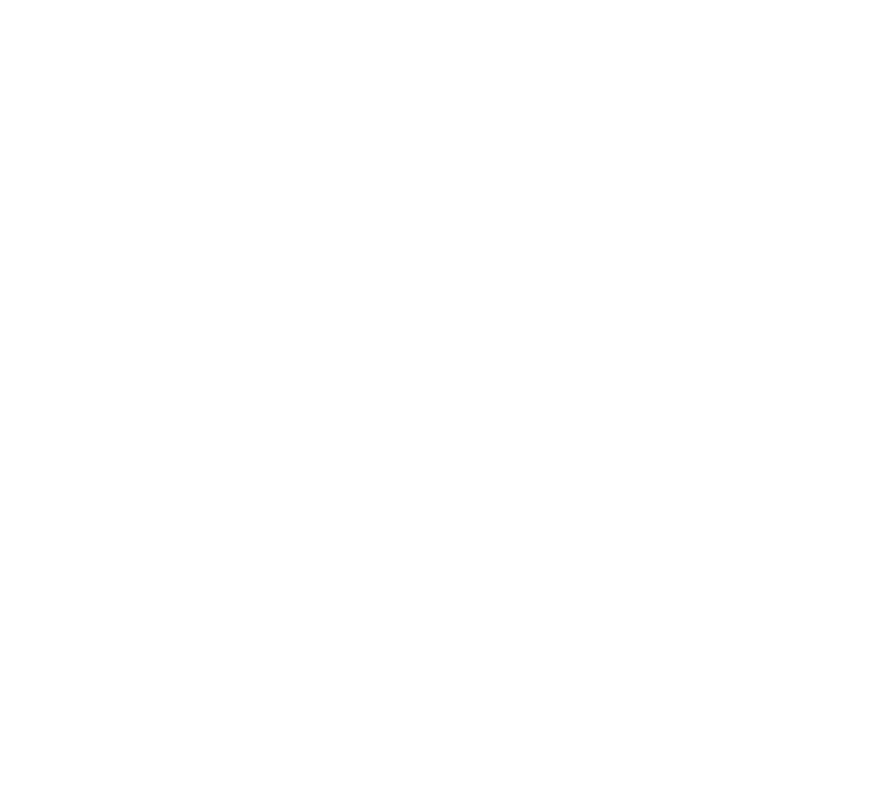 Logo-Kwaliteitsslagerij-Ariesen